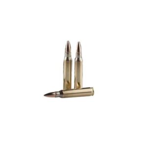 Prvi Partizan 5.56 NATO Ammunition 20 Rounds
